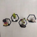 (3 pcs set ) Hexagon Shape 3D Wooden Wall Shelf